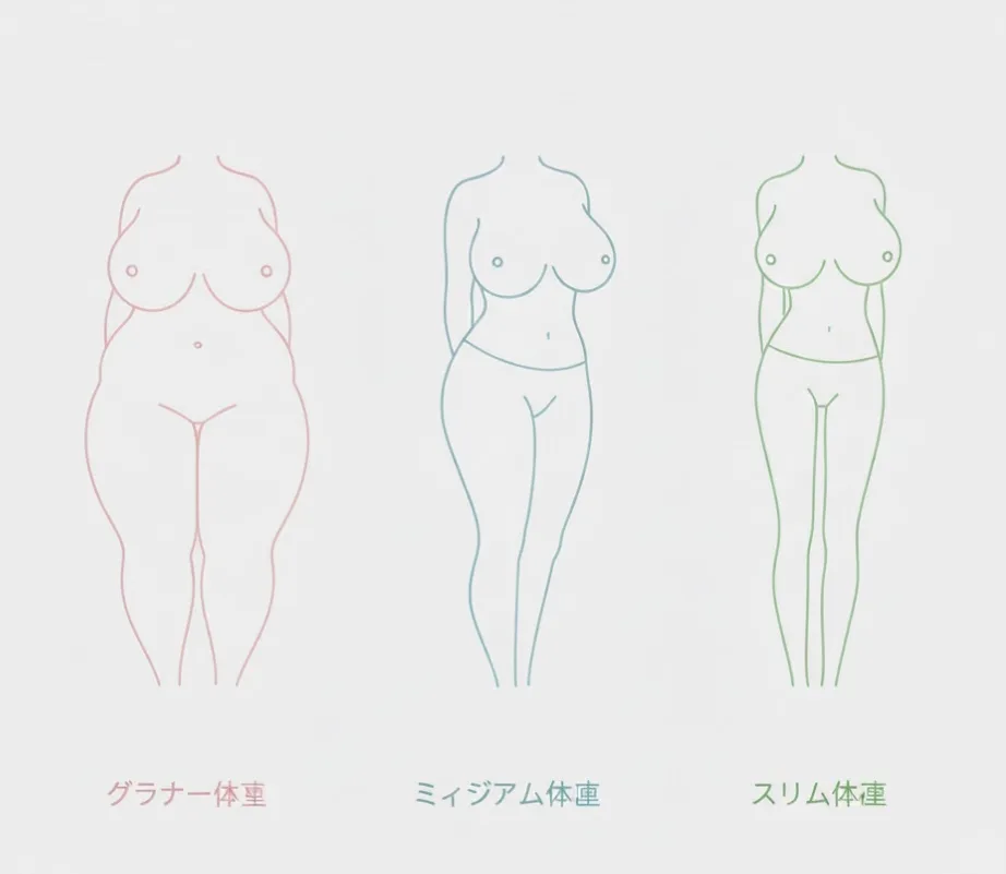 Line drawings of three female body types: curvy, medium, and slim, labeled in Japanese.